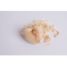 Swiss stone pine heart (8cm)